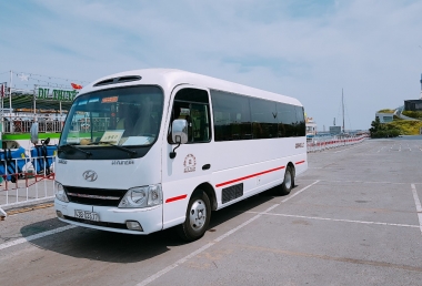 Xe TRANSINCO NGT 03317